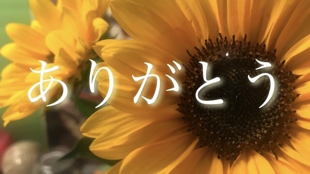 寂しい・辛い・愚痴・自慢・嬉しい全て聞きます あなたの心に明かりを灯し、光溢れる一日にさせて下さい！ イメージ7