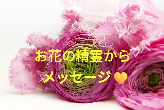お花の精霊からスピリチュアルメッセージ届きます 10種類の写真から気になるお花を選んで下さい イメージ1