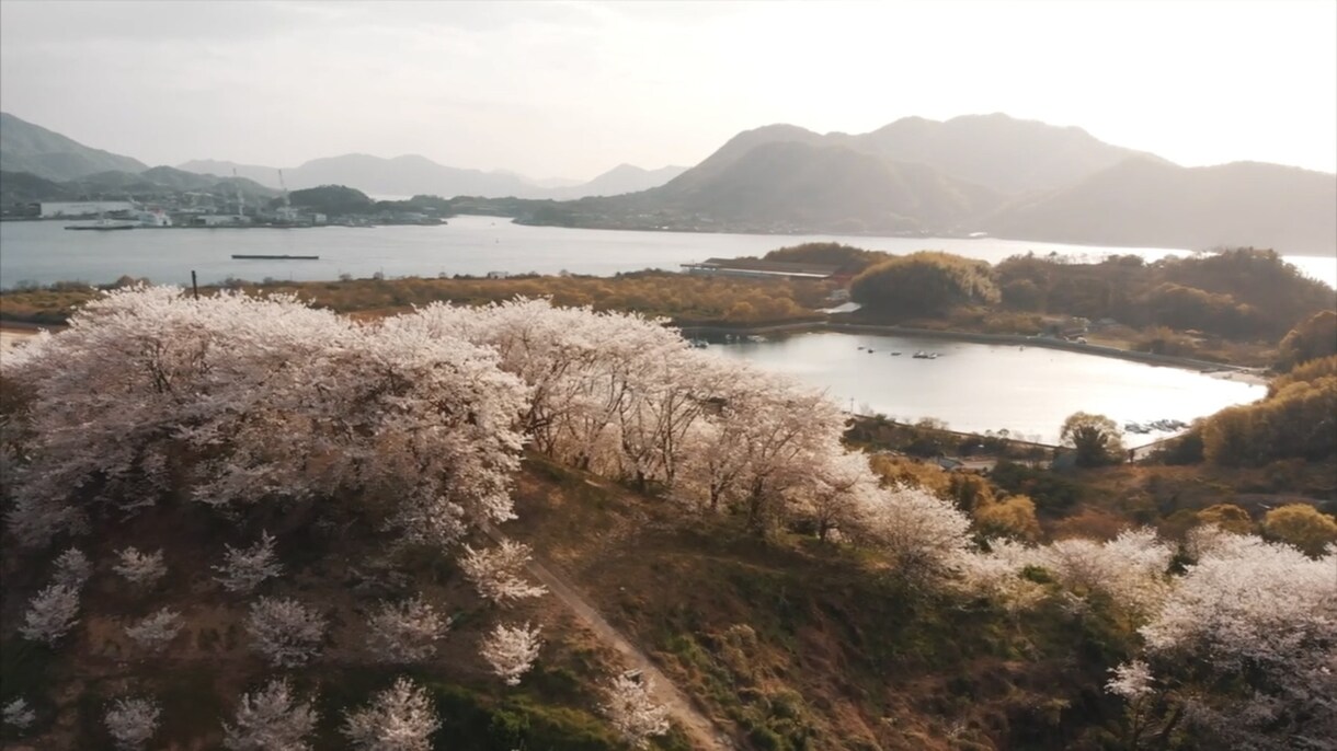 ご希望に合わせたドローン空撮映像を撮影します 結婚式・イベント・PR動画｜4K対応・編集可｜映像制作 イメージ1