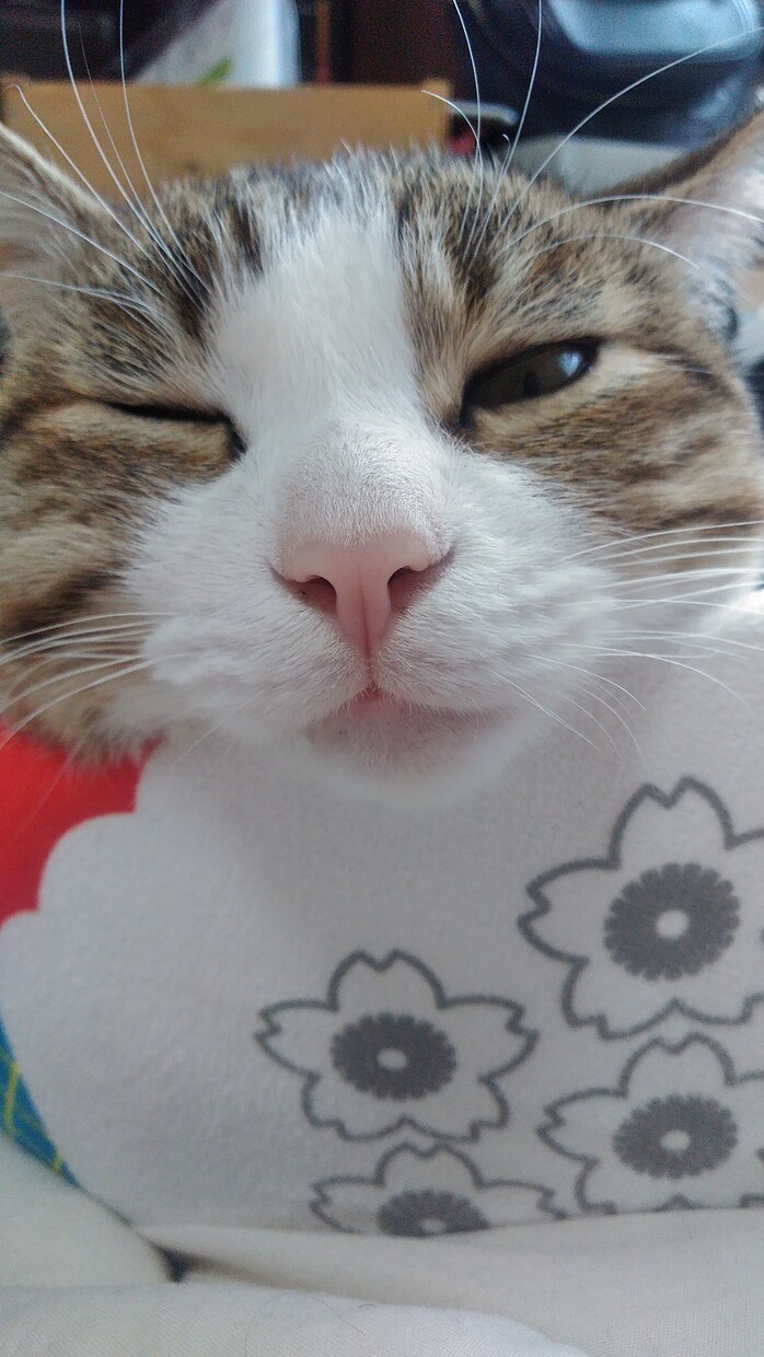 悩みや愚痴をききます 悩みを解決して笑顔になりましょう！あなたの笑顔が私の笑顔。 イメージ1