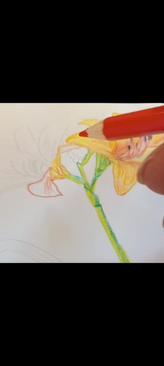 色えんぴつでの絵を描きます まだ予定中でして、しばしお待ちくださいませ。 イメージ4
