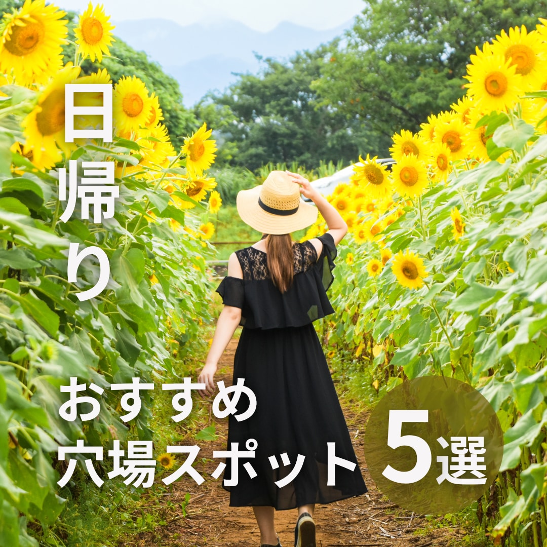 バナー広告・SNS画像などWEB画像作成します 伝わる、目に留まるデザインを提案 イメージ3