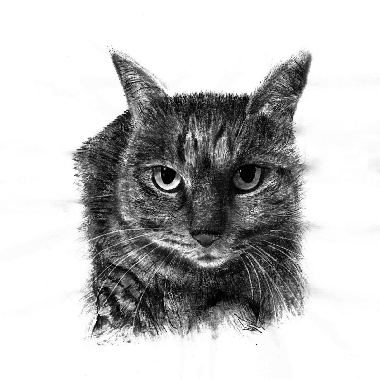 ペットの写真で水墨画を描きます 愛犬、愛猫の写真を水墨画で個性的なアート作品に仕上げます！ イメージ4