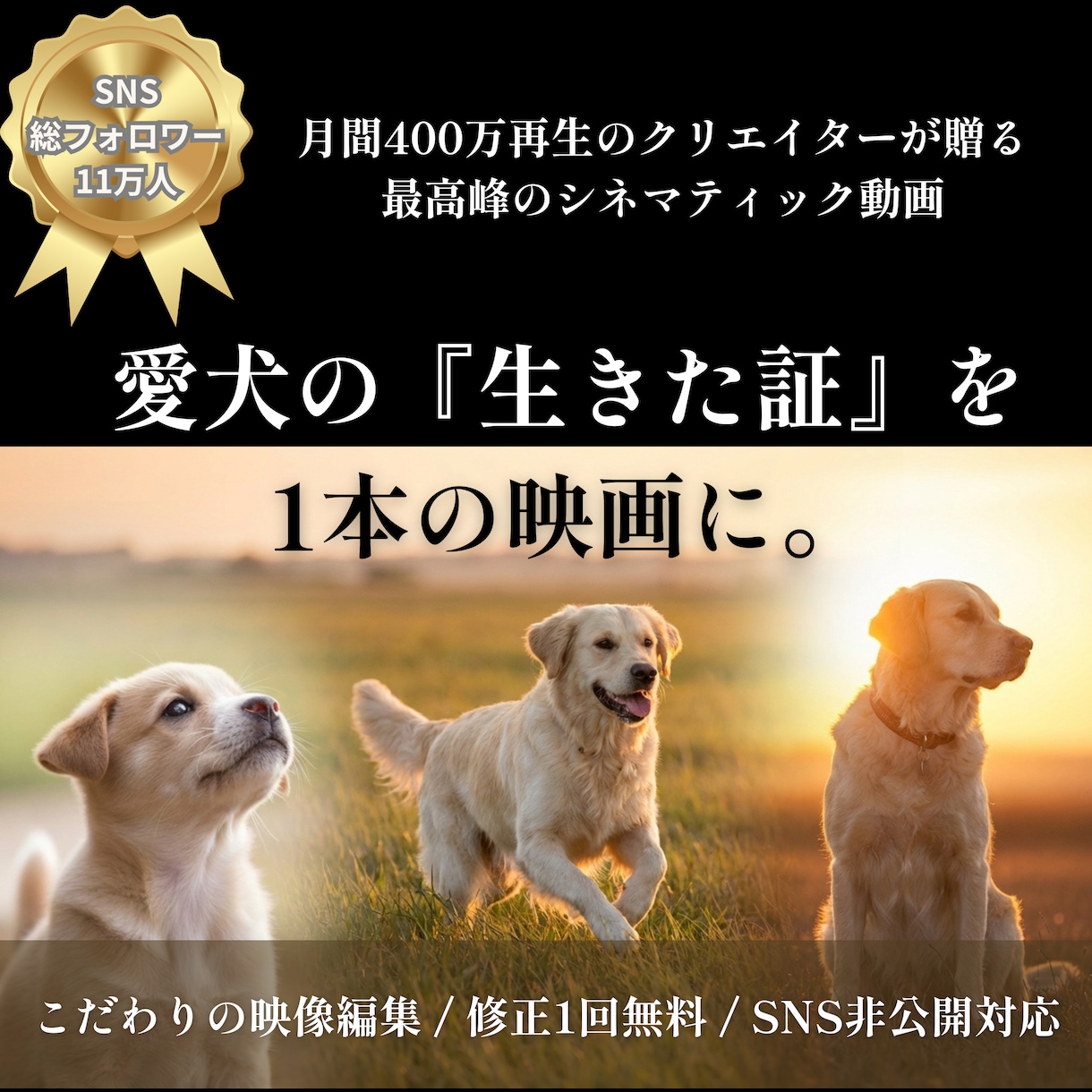 月間400万再生！愛犬の記憶を蘇らせる動画作ります SNS総フォロワー１２万人！ AI技術で愛犬を映画の主人公に イメージ1