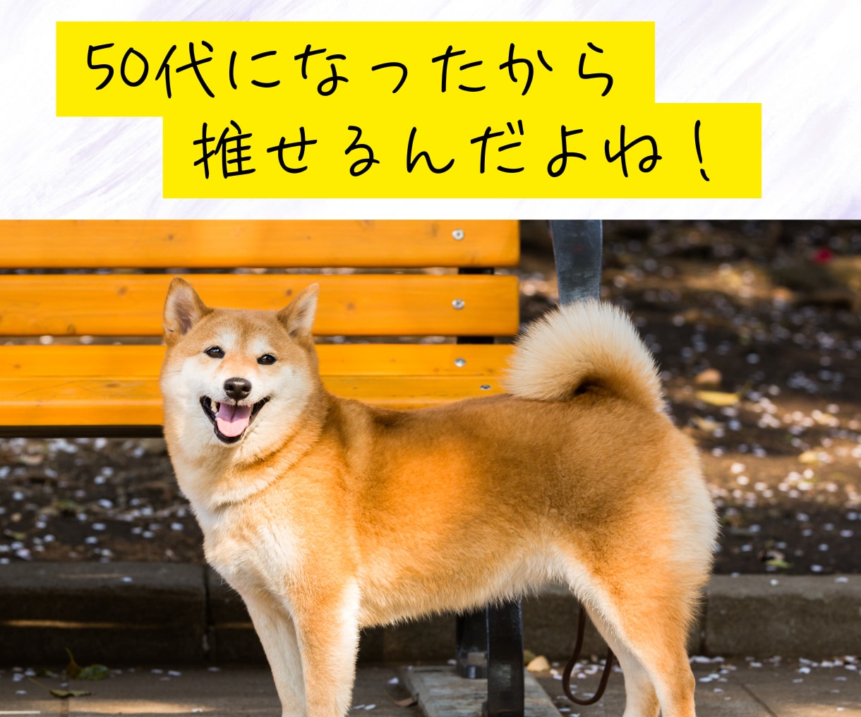 推し活バナシ、聞きます 突然、推し活に目覚めた！この気持ちを分かち合いたい イメージ4