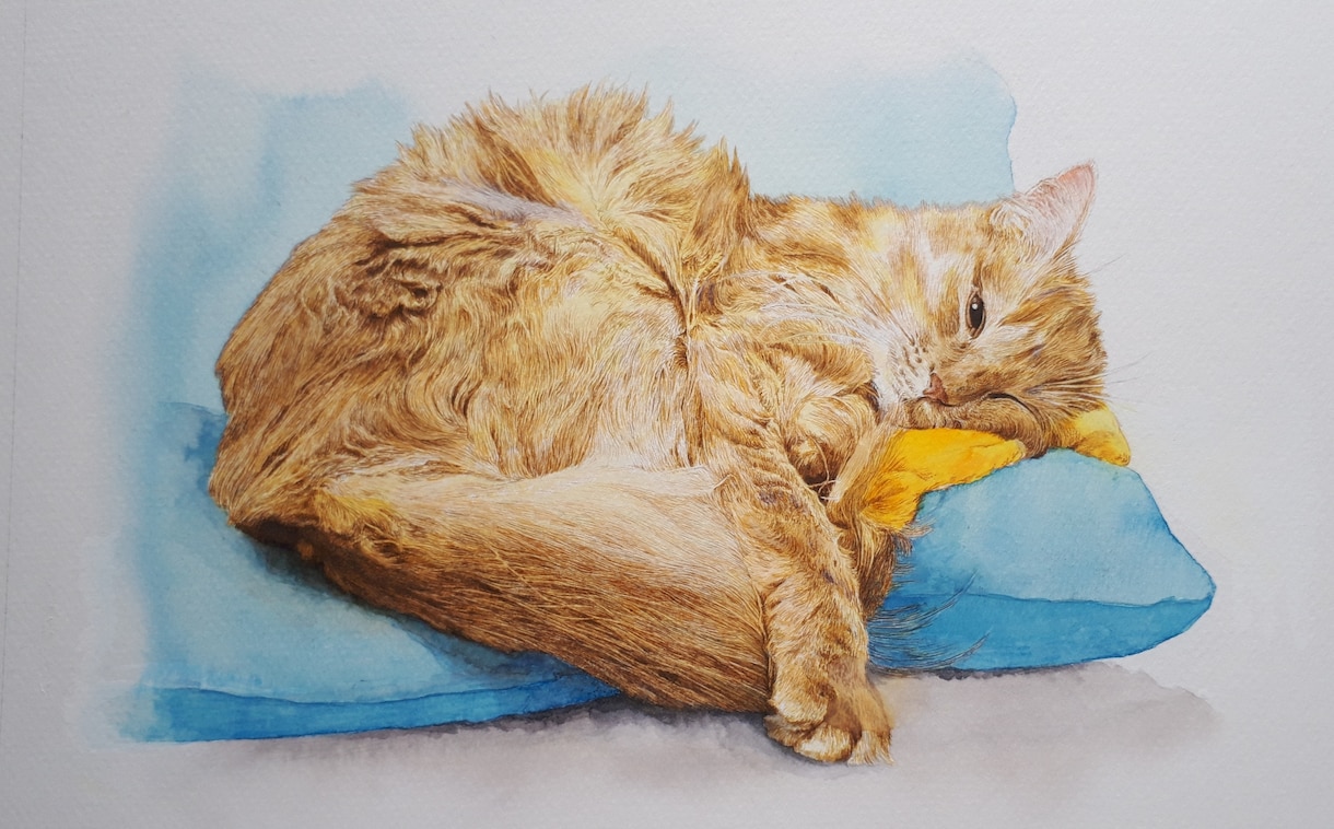 ペットの肖像画を描きます ペンで描きますので、細かい毛並みもリアルに描きます！ イメージ4