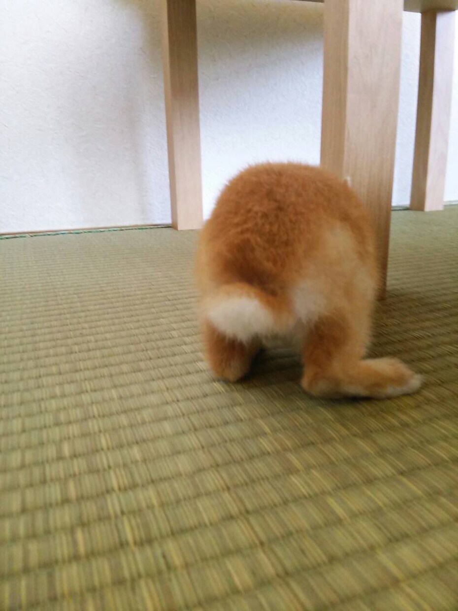ノリツッコミ、おしえます。 イメージ3