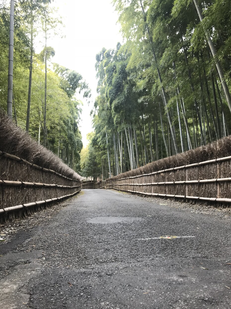 京都移住＆京都での暮らし方、アドバイスします 転勤などで京都暮らしを始める方、京都移住したい方をサポート イメージ2