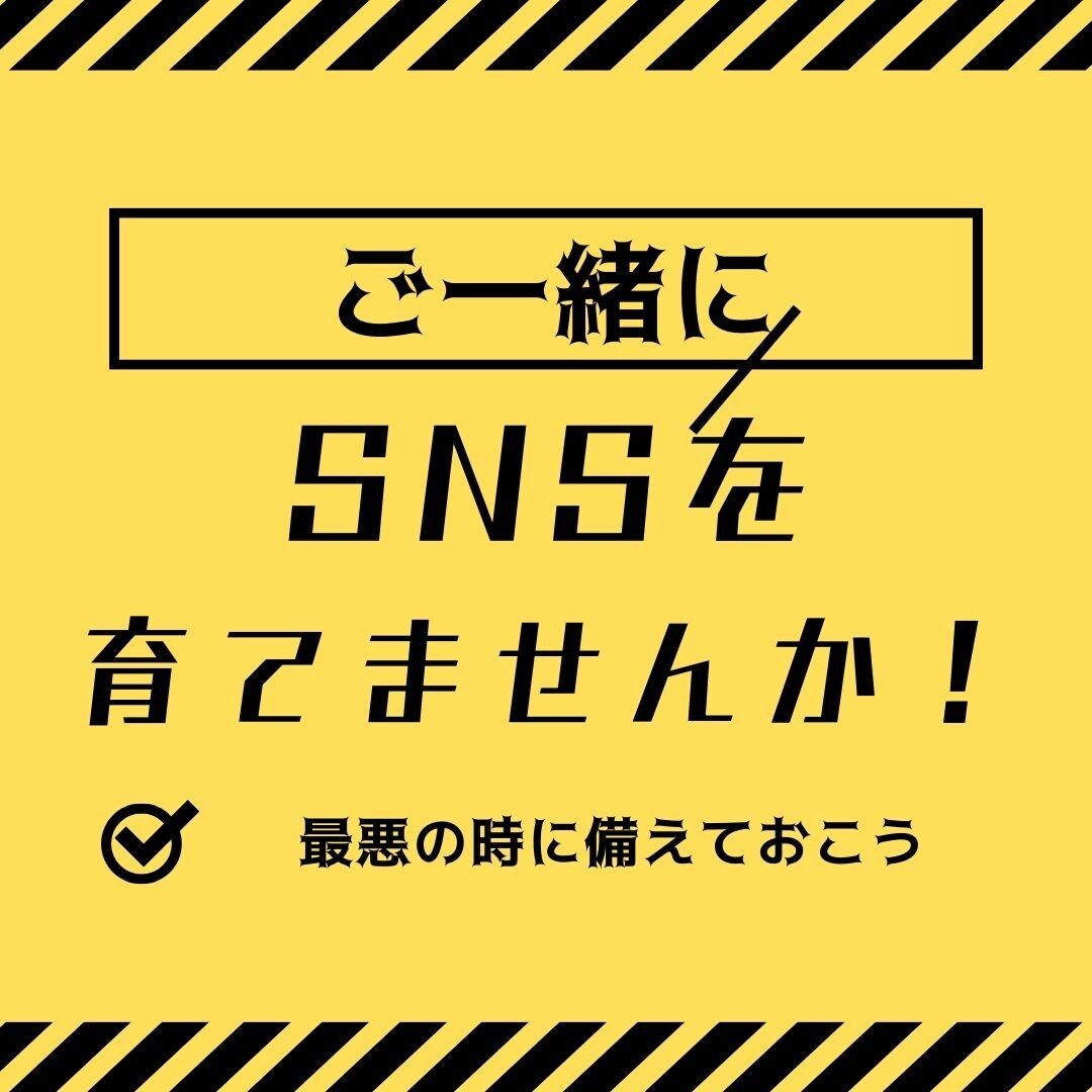 SNS運用の全体サポートをお手伝いします あなたに合った戦略を提案、SNSの強化をサポートいたします。 イメージ1