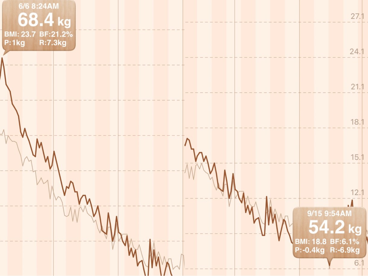 100日で14kg減に成功した経験を細かく話します 無理なく楽しくできることを見つけて、それを継続すれば可能です イメージ1