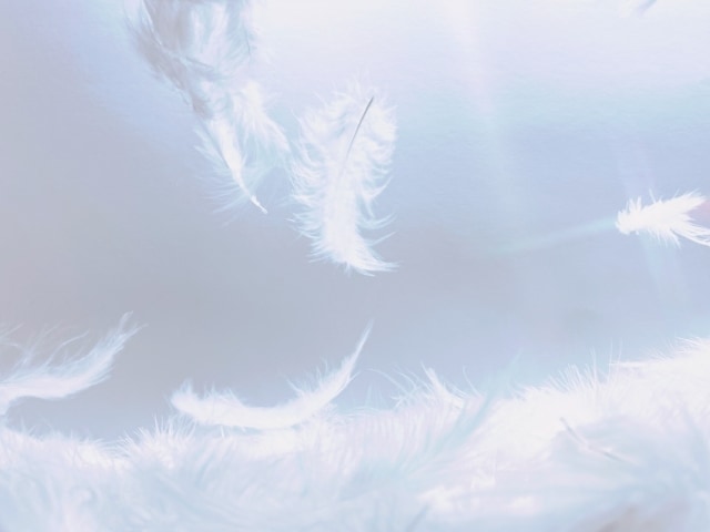 自分を責めてしまうあなたの気持ちやさしく整理します あなたを責める声を一緒に鎮めていきましょう イメージ1