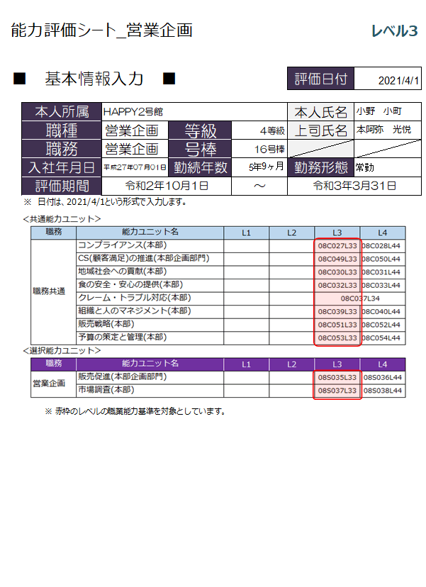 能力評価シート(スーパー、営業企画)を販売します 厚生労働省の「職業能力評価基準」を採れ入れています。 イメージ2
