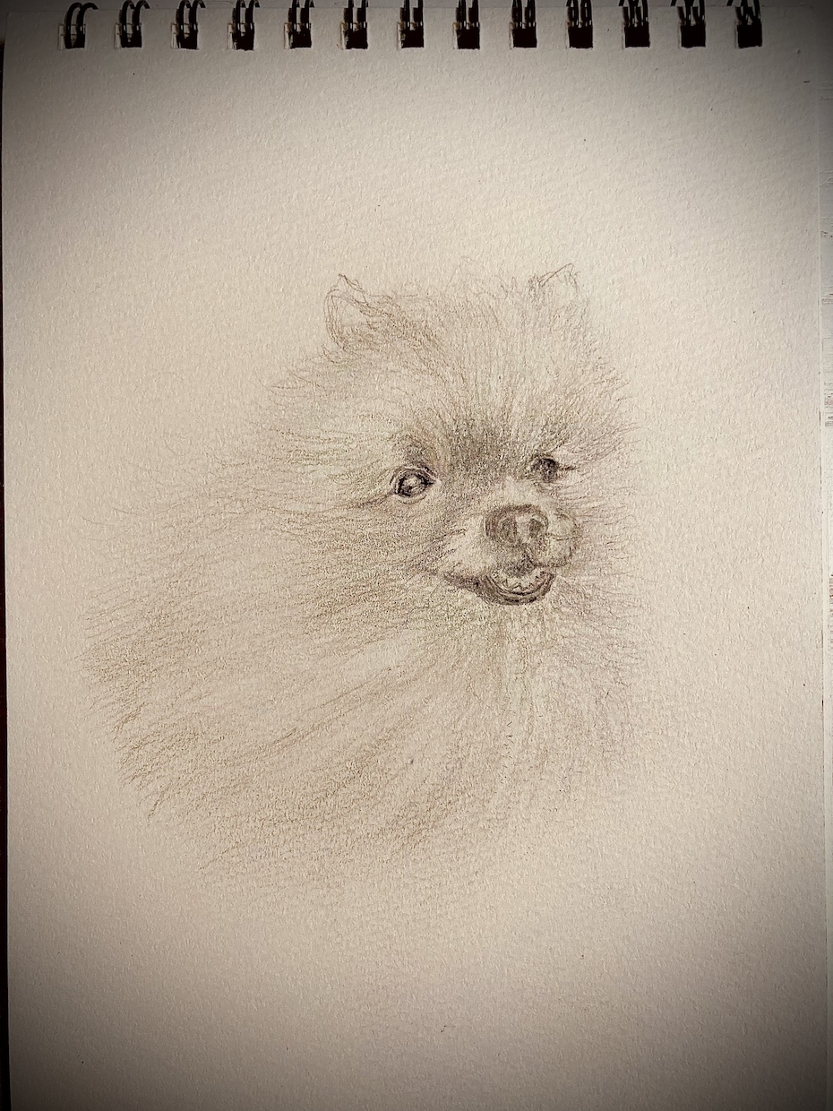 あなたの大切なペットを描きます 愛らしさが更に引き立ち癒されます イメージ3