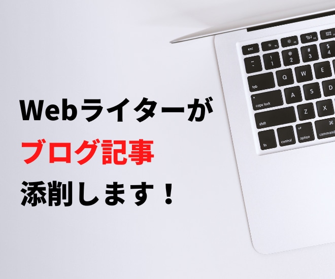 現役Webライターが記事を添削します 添削は理由も含めて伝えるので、他の記事執筆にも役立ちます！ イメージ1