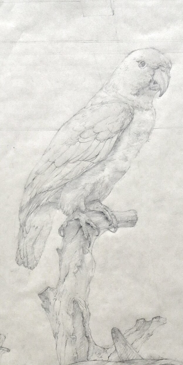 現役藝大がペットの似顔絵をお描きします 藝大生がお客様のペットをご希望のテイストでお描きします。 イメージ10