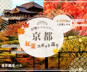 ５名様限定！オプション無料でバナーを制作します 安心丁寧のヒアリング♪修正無制限で対応いたします！ イメージ7