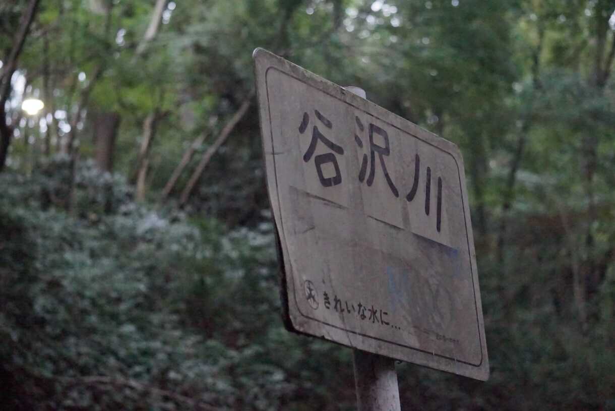 写真を撮ります 一眼カメラにてお写真をお撮りします。 イメージ4