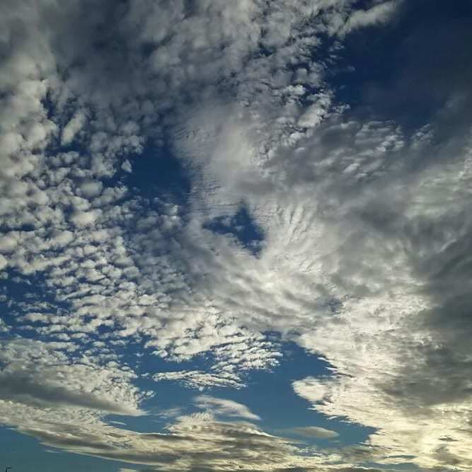 あなたの代わりに写真撮影をします 写真撮影を代行して写真を提供します イメージ2
