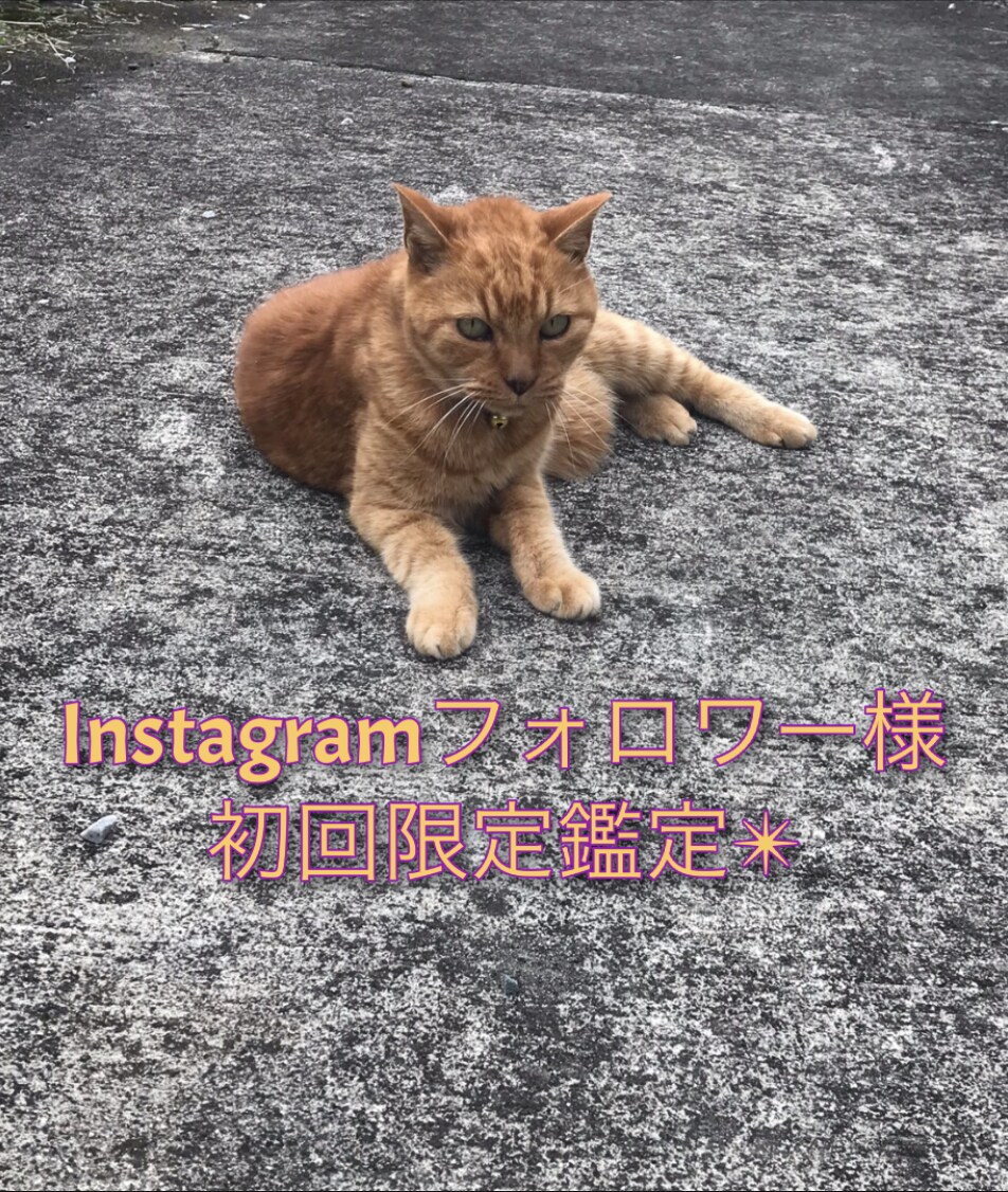 期間限定！ご希望のジャンルを掘り下げて読みます インスタ経由で初めての方！限定価格で読ませて頂きます✴︎ イメージ1