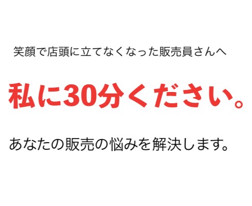 ビデオチャット｜販売員さんの相談にのります 私に30分ください。そうすれば、あなたの悩みを解決します。 イメージ1