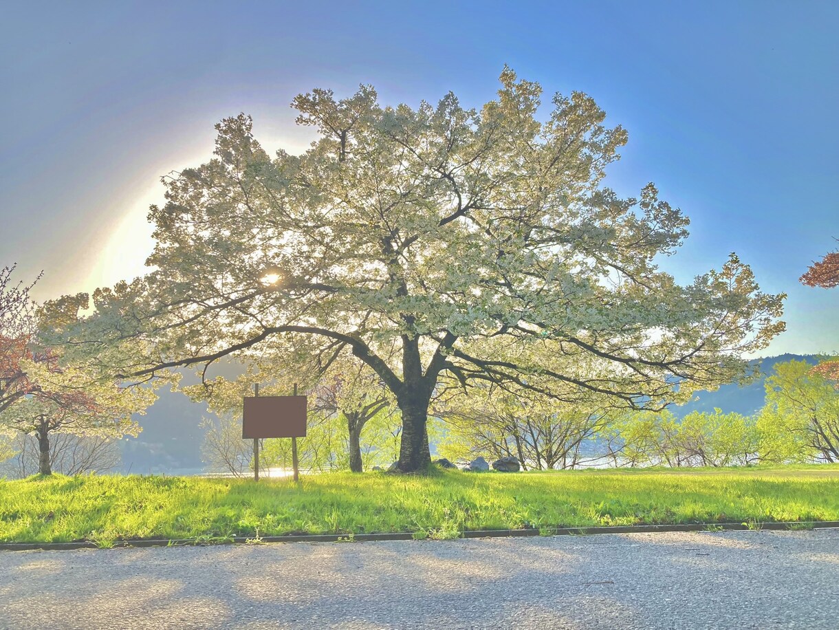 トキメキから情熱まで、あなたに届けます 芸歴５年以上の現役作家が、代わりに青春系ストーリーを執筆！ イメージ1