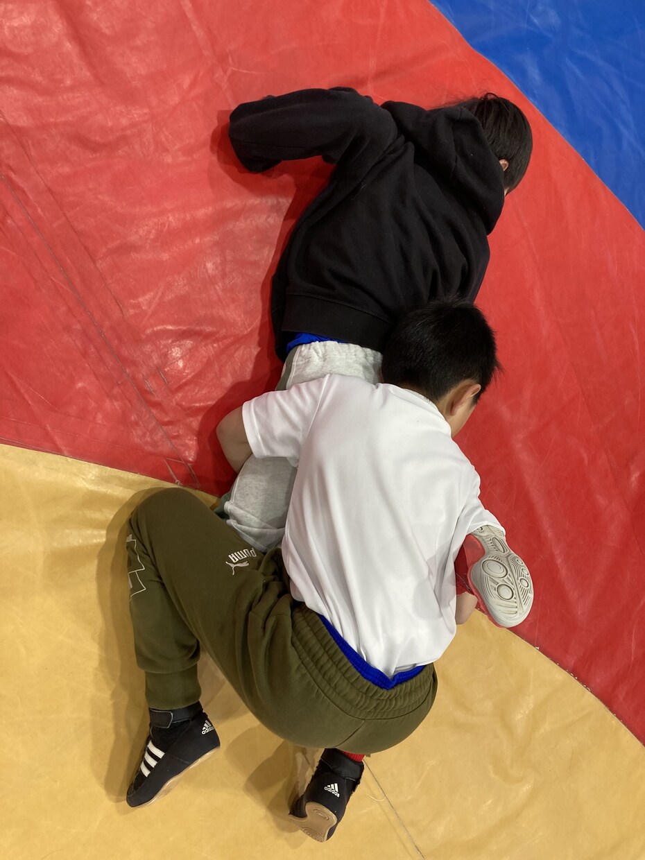 レスリングのアドバイスします レスリングのコツやヒントを教えます。 イメージ6
