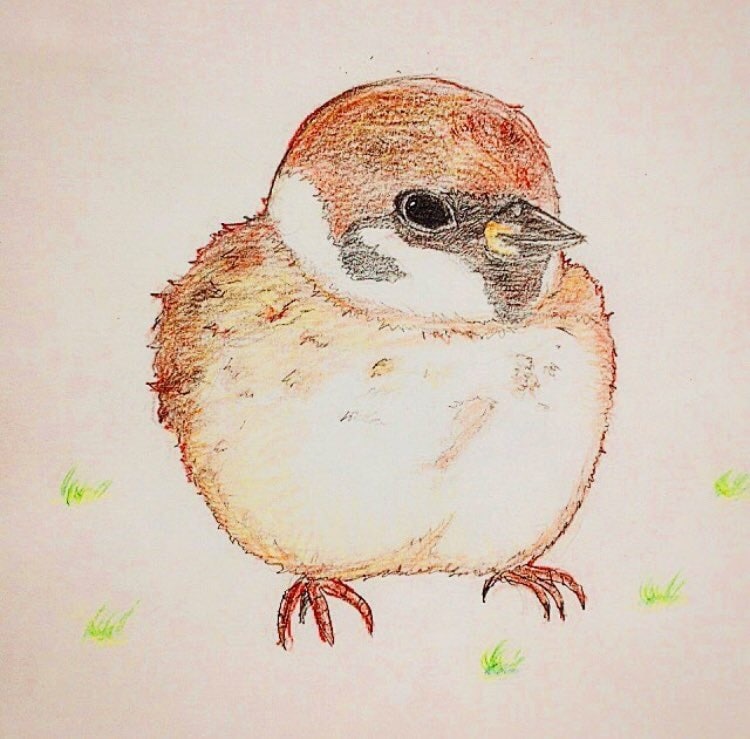 オーダーメイドイラストを製作します こんなところに使いたいんだけど、という思いに沿えます。 イメージ7
