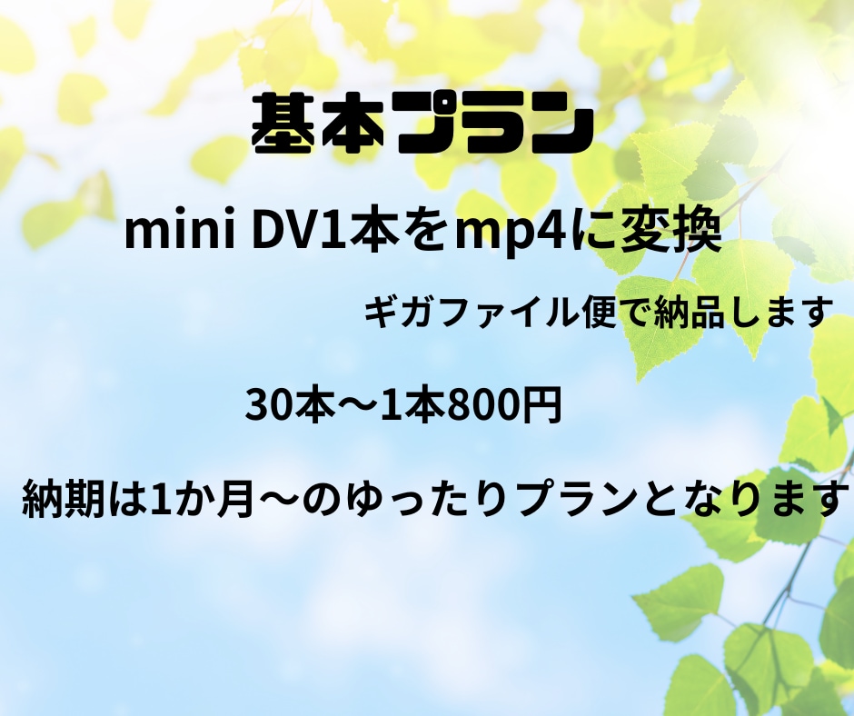 女性対応miniDV30本～格安データ化します 大量割！1本800円女性スタッフ対応miniDVをデータ化 イメージ2