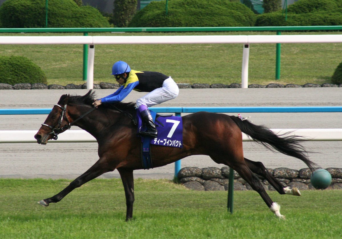 競馬教えます 一緒に競馬予想、購入して楽しみませんか? イメージ1