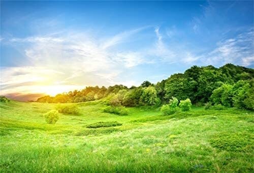 2日間✩︎⡱チャット感覚で　何でもお話し聞きます 悩み、愚痴、今日あった些細な出来事でも何でもOKです イメージ4