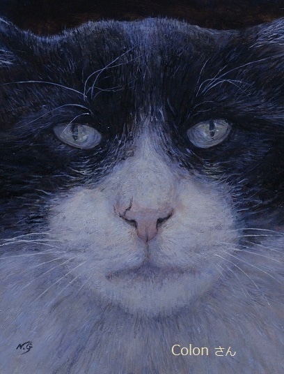 主に猫を油絵で写実的に描きます 愛猫がずっと貴方と共にあります。 イメージ3