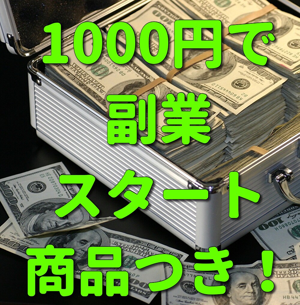 商品付き！ココナラ副業を成功させる方法を教えます 初心者必見！商品もおまけでつけちゃいます！ イメージ1