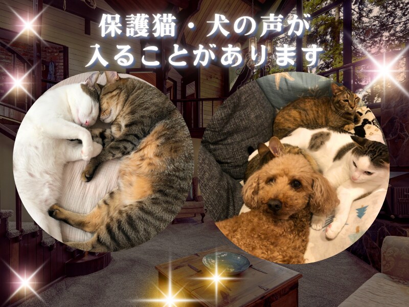 しんどい夜に。否定しない聞き役ここにいます 1分からokです/恋愛/夫婦/仕事/職場/家族/子育て/不安 イメージ2