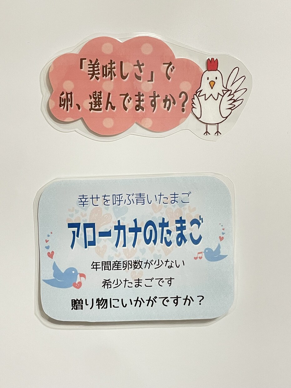 現物お届け！すぐ使える手書き風POP制作します 消費者目線で制作します☆温かく親しみのあるPOPで売上UP！ イメージ8