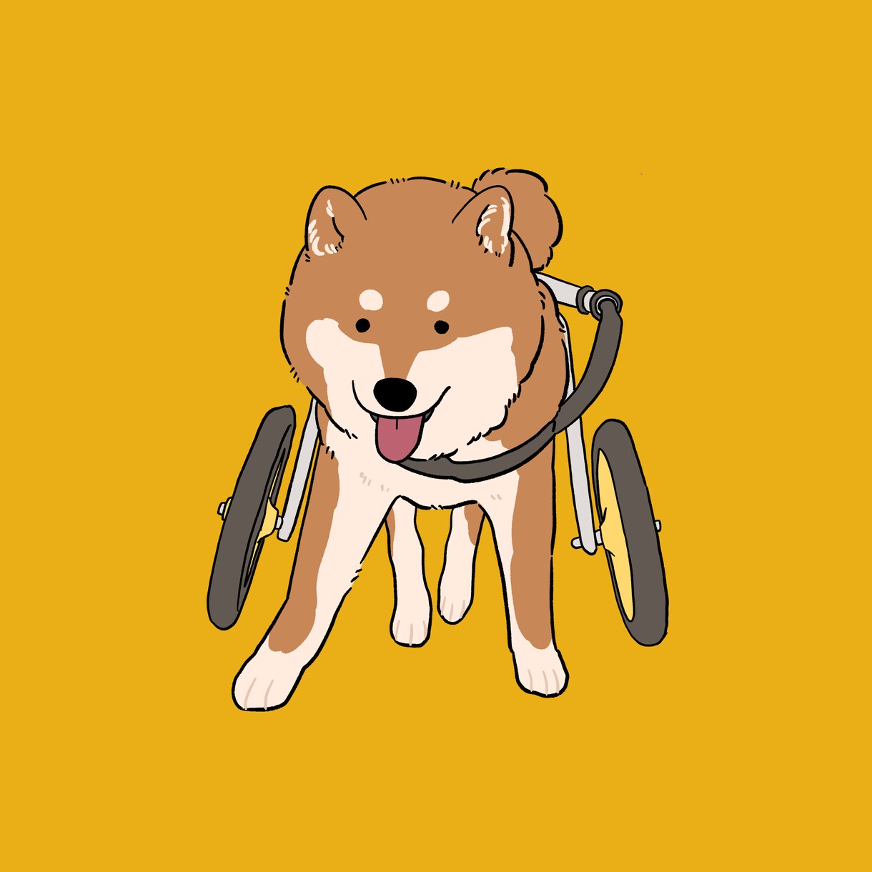 どんなペットも心こめてイラストにさせていただきます 犬•猫•小動物•エキゾチック•爬虫類等あらゆる動物描きます！ イメージ7