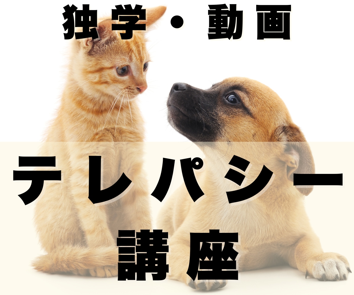 ペット、人、ハイヤーまで！テレパシー全部教えます わかりやすい！資料283枚＆ワーク15種。累計1000人実績 イメージ1