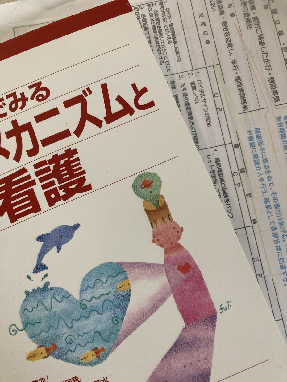 看護過程お手伝いします 看護過程のお手伝いをします！ゴードン、ヘンダーソン、なんでも イメージ1