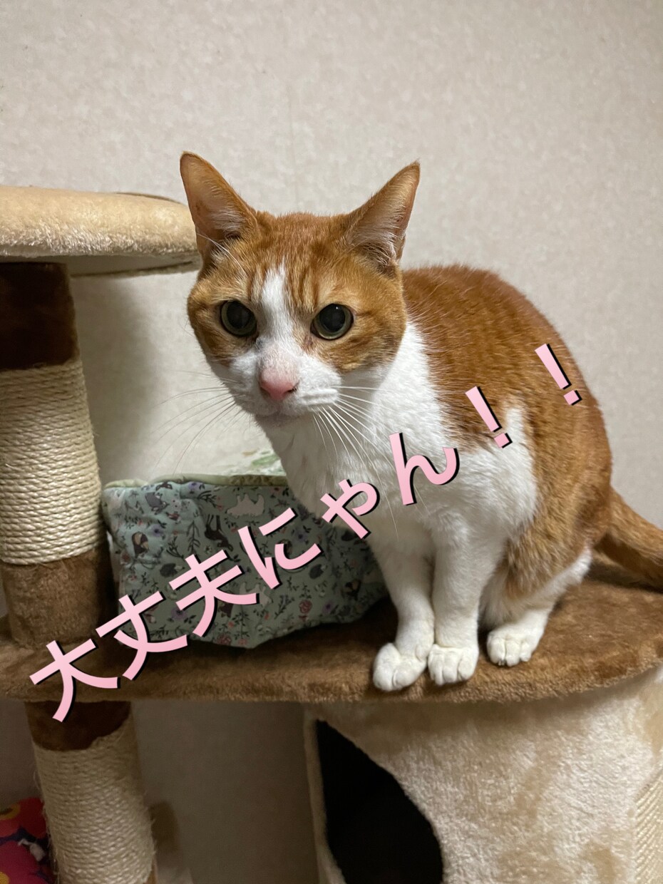 超画期的❗️人物なし写真鑑定、貴方について読取ます 生年月日不要、人物なし貴方の世界観写真から貴方を霊視します イメージ10