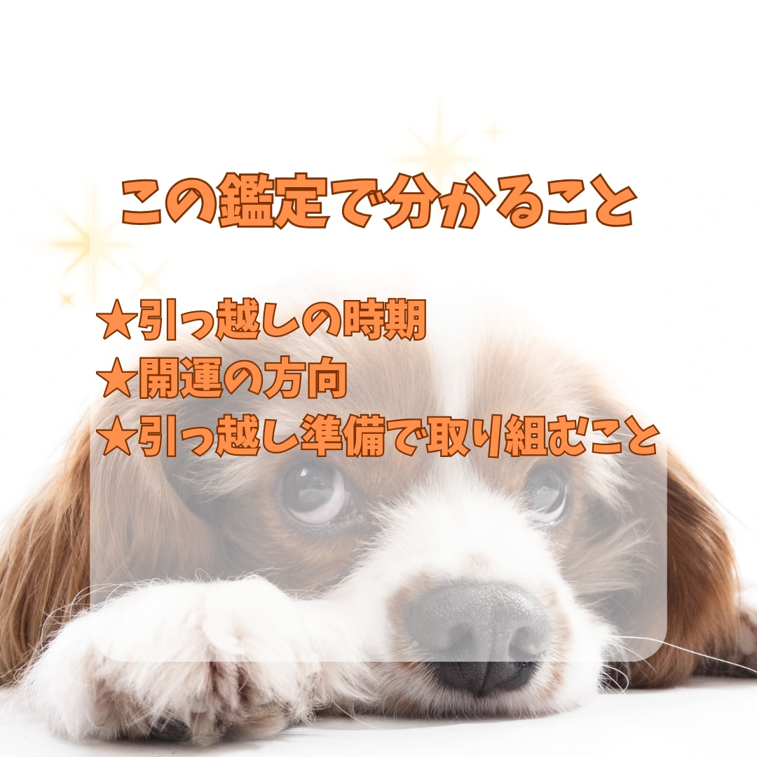 未来を切り拓く引っ越し占い★開運の方角を鑑定します 引っ越す時期・方角から家庭運まで、人生の転機を読み解きます イメージ2