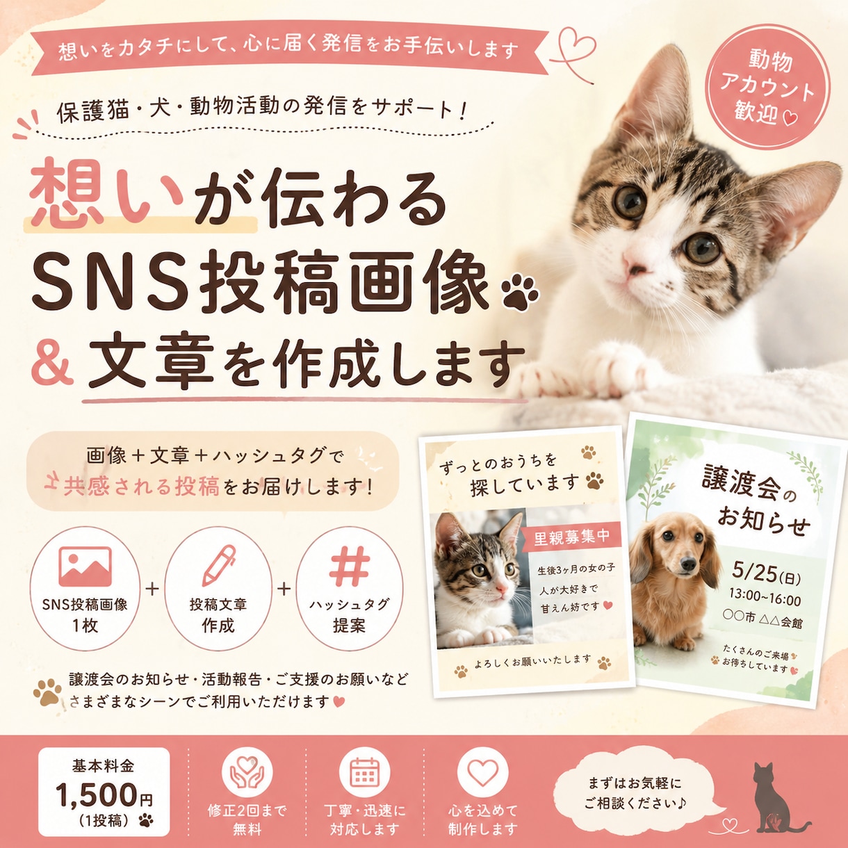 想いが伝わるSNS投稿画像＆文章を作成します 保護猫活動を応援！SNS投稿を作成します イメージ1