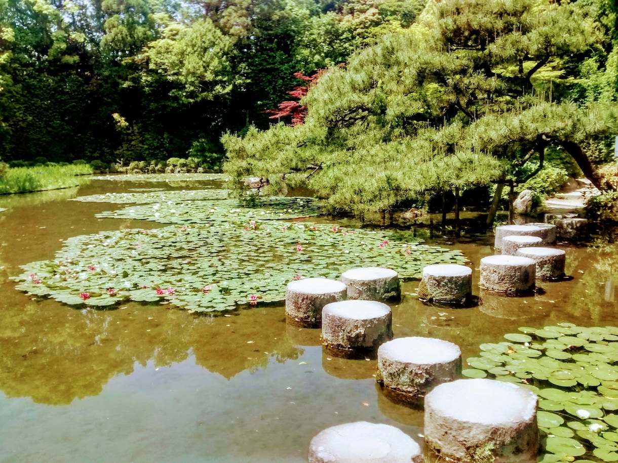 魂結び霊導鑑定で《本質の輝きと宿命》を霊視します 迷い続けた占いの果てに疲れた心へ──魂が選ぶ真実の未来を イメージ6