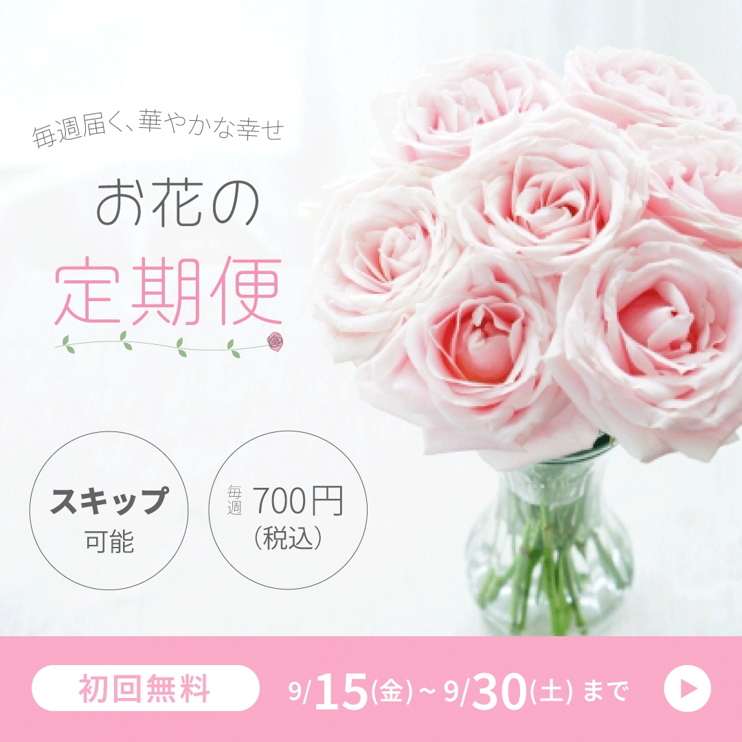 Webバナーを制作します 修正無制限！マーケティング目線でのご提案！ イメージ2