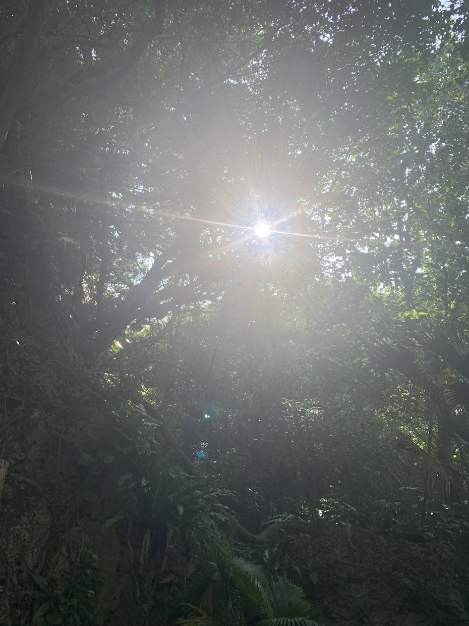 透視にて大切な人の氣持ちと展開や改善策をみます 彼の意識に合わせて霊視とタロットカードで占います イメージ1