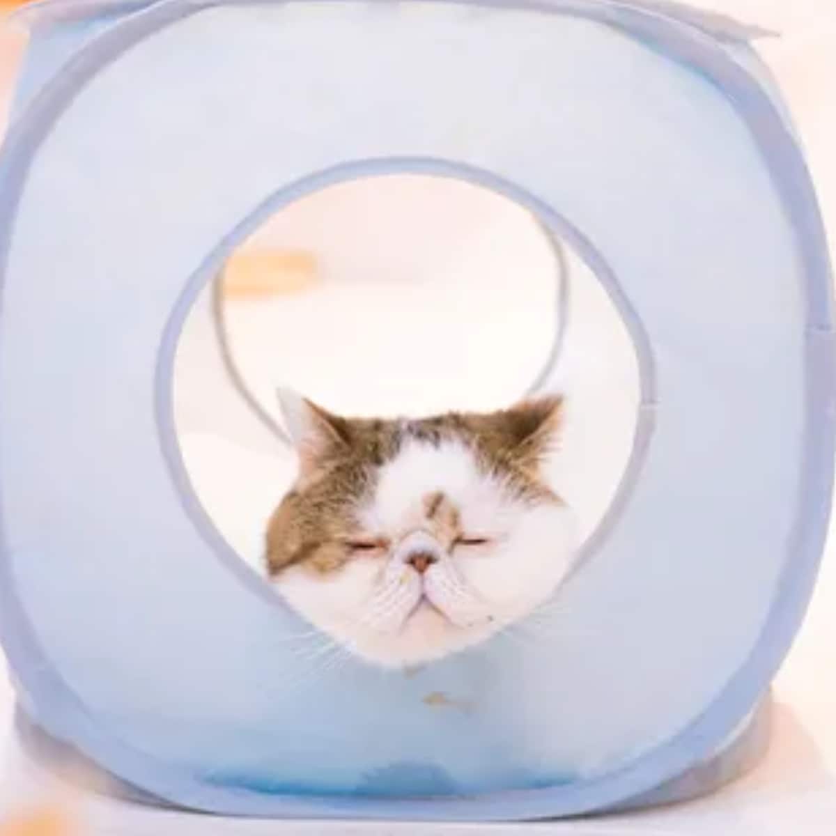 寝てる時に見た「夢の意味」を教え、導きます なんでこんな夢見たんだろう。って時ない？ イメージ3