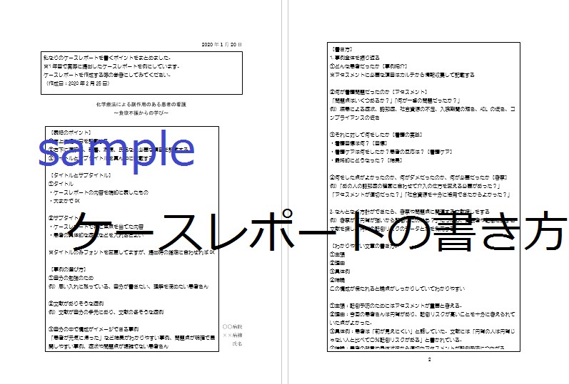看護の資料作成！ケースレポートの作成を手伝います すぐ書き出せる！様式・書き方・実際の例をまとめてお送りします イメージ3