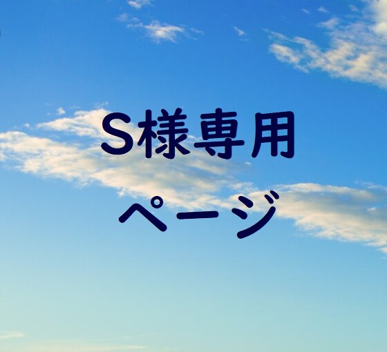 S様専用ページとなります ★S様専用です★他者様は別の出品サービスをご利用下さい。 イメージ1