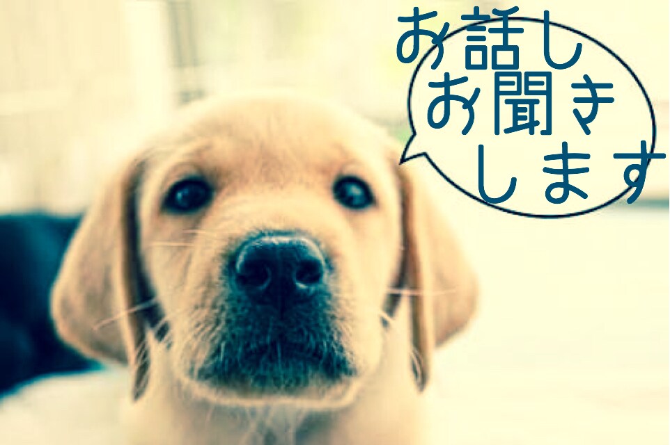 お話しお聞きします 10日間、お悩みでも愚痴でもなんでもお聞きします！ イメージ1