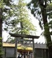 今世のテーマを、継承した霊能力でお伝えします 。自ら動けば変わる！問題解決へ向けて人生に光が差す開運鑑定。 イメージ6