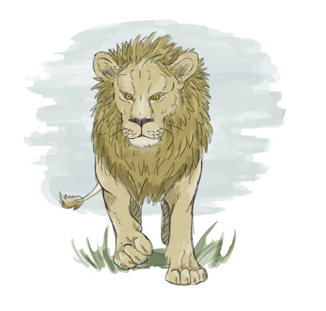 動物・生物のイラスト描きます 商品デザイン、ペットの似顔絵、趣味の絵 イメージ1