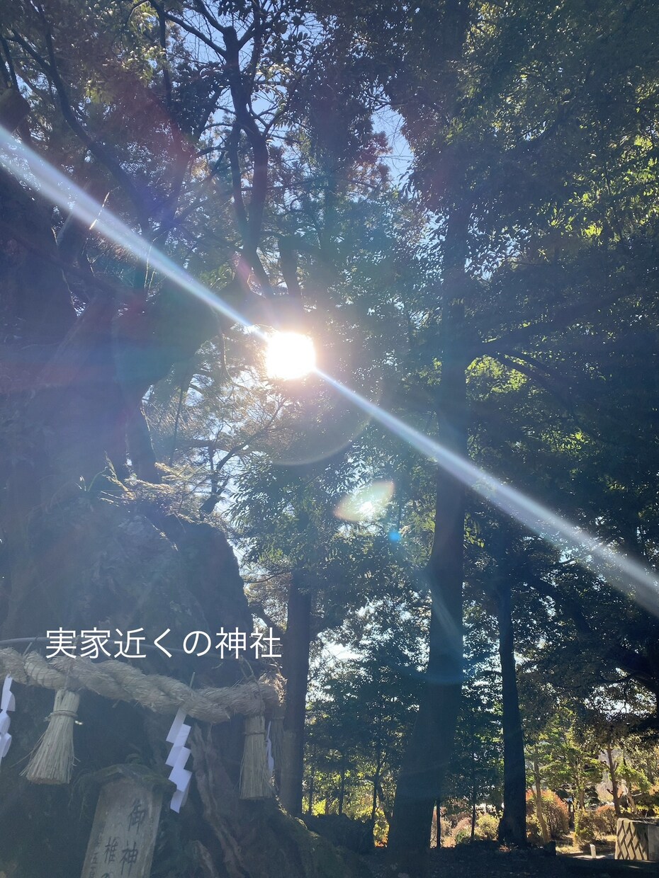 天性の霊感・エンパスでバシバシ鑑定します カード占い⭐︎ 恋愛・仕事・人間関係などお悩み占います⭐︎ イメージ6